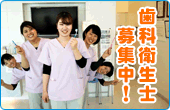 歯科衛生士 求人案内